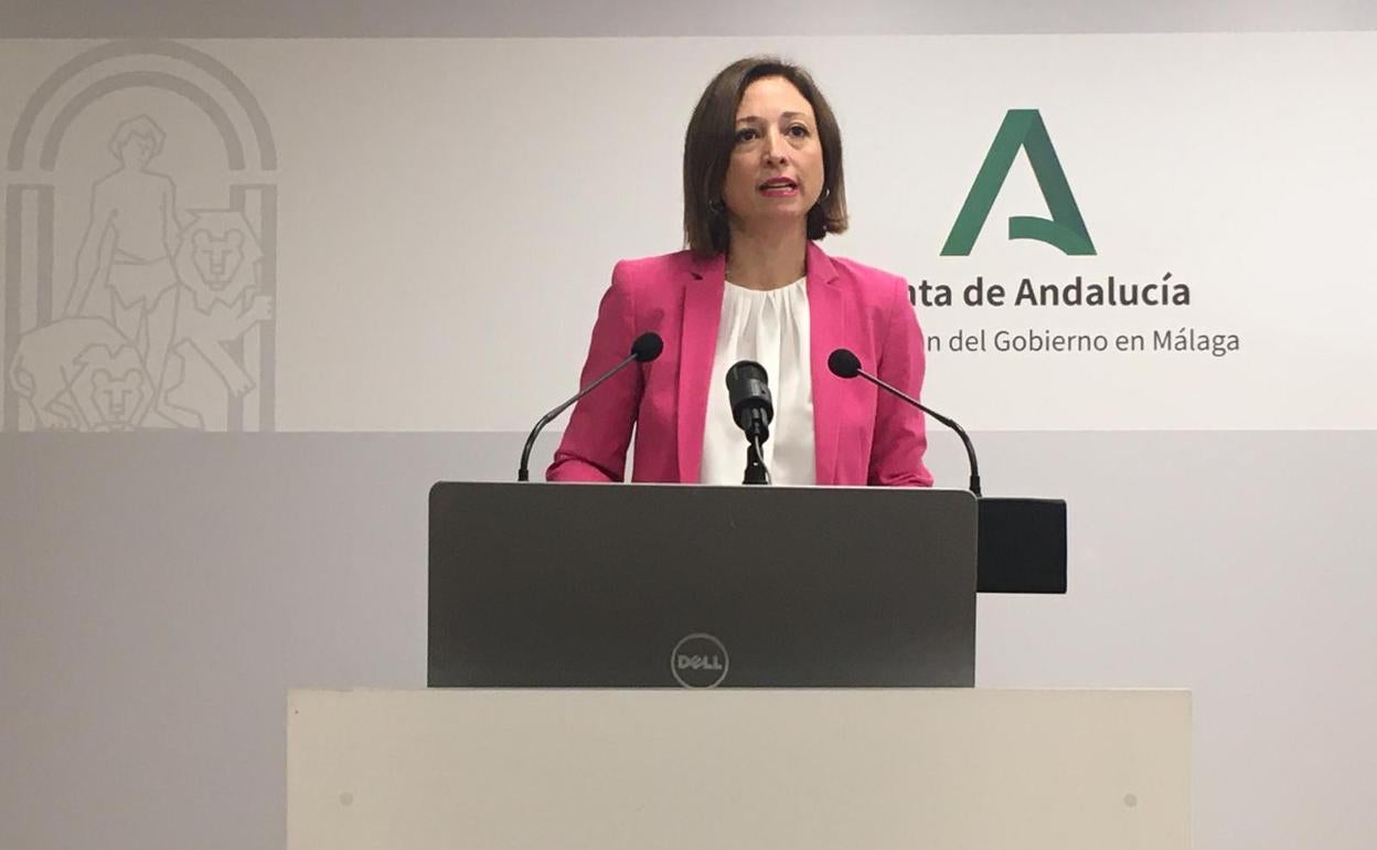 Patricia Navarro, durante su comparecencia en la Delegación del Gobierno de la Junta. 