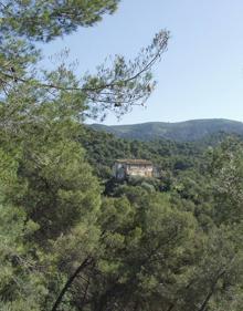 Imagen secundaria 2 - Arriba, la ruta discurre por carriles anchos. Abajo, la vegetación que se puede ver en esta ruta es muy variada, y, a la derecha, en este recorrido se pueden avistar algunos cortijos y lagares con mucha historia.