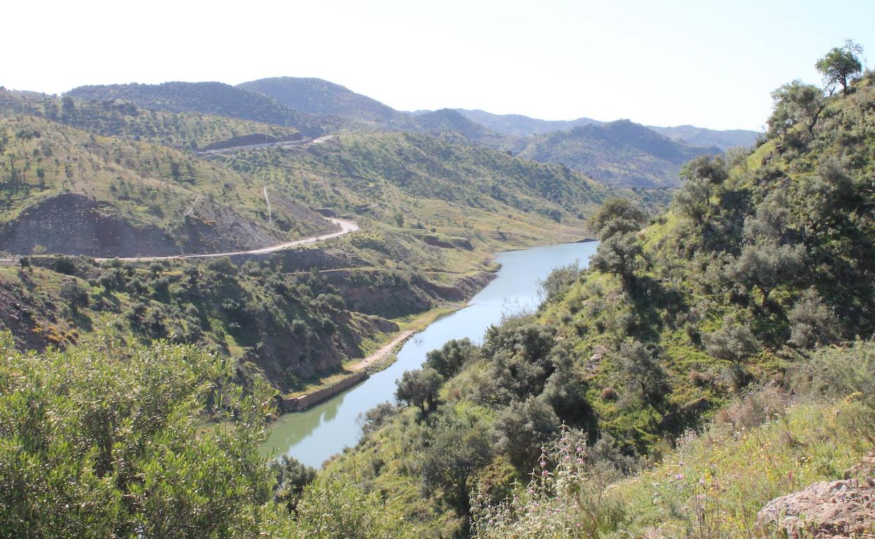 Cola del embalse de Casasola