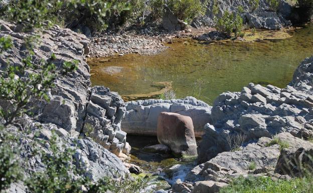 Imagen principal - Arriba, el Charco del Infierno es un rincón singular de la provincia de Málaga. Abajo, el Charco del Infierno visto desde el final de la ruta, y, a la derecha, hay varios olivos monumentales en este recorrido.