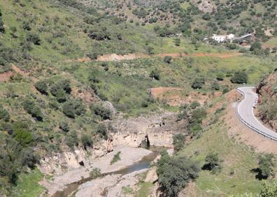 Imagen secundaria 1 - Arriba, el Charco del Infierno es un rincón singular de la provincia de Málaga. Abajo, el Charco del Infierno visto desde el final de la ruta, y, a la derecha, hay varios olivos monumentales en este recorrido.