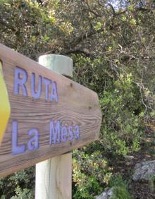 Imagen secundaria 2 - Arriba, inicio de la ruta en Los Ventorros. Abajo, después del carril asfaltado se pasa a un camino de tierra, y, a la derecha, antes de llegar a la cima se atraviesa un bosque mediterráneo.