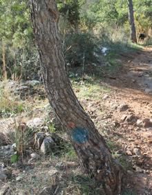 Imagen secundaria 2 - Arriba, cantera de Torremolinos. Abajo, punto por el que se sale de la carretera para empezar a subir por sendas, y, a la derecha, en algunas zonas del recorrido, puntos azules indican el camino.