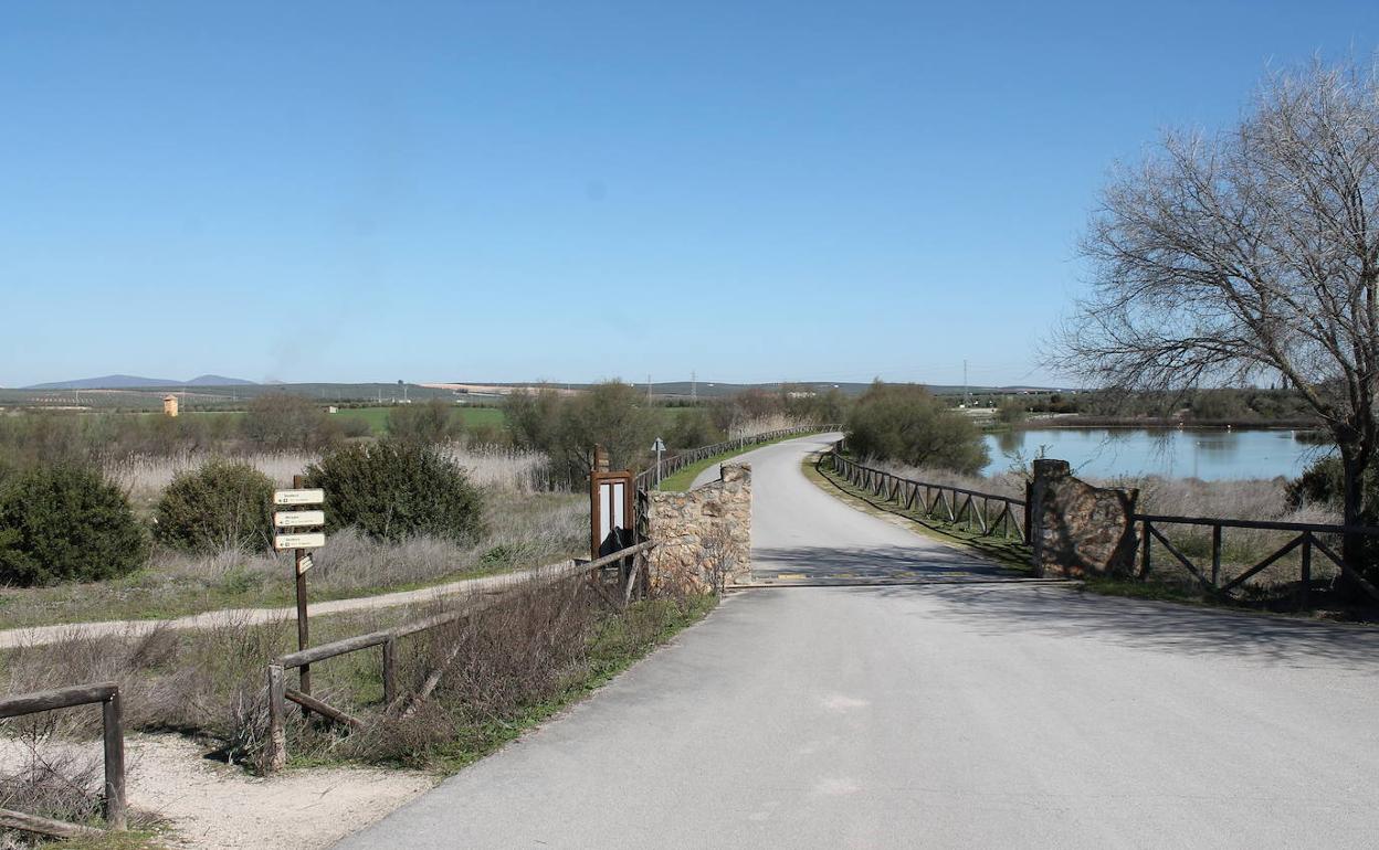 La ruta El Cagarzo pasa junto a la laguna de Fuente de Piedra