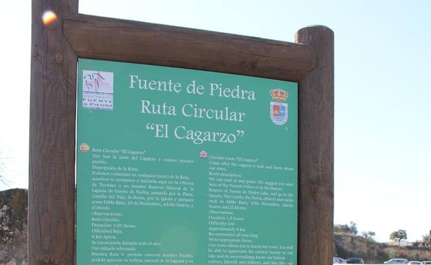 Imagen principal - Arriba, cartel indicativo de la ruta. Abajo, flamencos rosa en la reserva natural de la laguna de Fuente de Piedra, y, a la derecha, Iglesia de Nuestra Señora de las Virtudes.