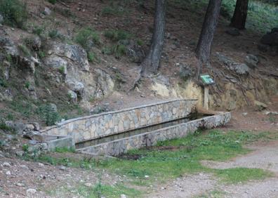 Imagen secundaria 1 - Arriba, denso bosque que se atraviesa en la parte mas elevada de la ruta. Abajo, fuente del Colegial, y, a la derecha, cruce con la carretera que une a Ardales y El Burgo