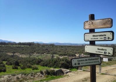 Imagen secundaria 1 - Arriba, pasarela de madera que cruza parte del humedal. Abajo, indicaciones del sendero, y, a la derecha, la zona del entorno suele estar cultivada con cereales o leguminosas.