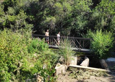 Imagen secundaria 1 - Arriba, las pasarelas metálicas pasan por encima de la acequia en muchos tramos. Abajo, la ruta tiene muchos tramos prácticamente llanos, y a la derecha, este sendero, que ya es circular, está homologado.