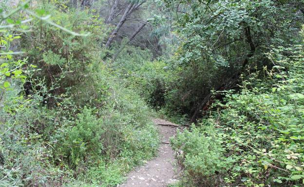 Imagen principal - Arriba, el recorrido discurre casi en su totalidad por caminos estrechos. Abajo, en los primeros metros se pueden ver pequeños saltos de agua, y a la derecha, aunque el camino tiene poco desnivel, hay tramos de cierta dificultad.