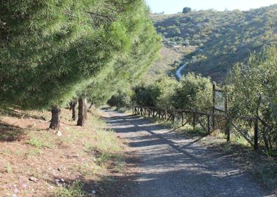 Imagen secundaria 1 - Arriba, espacio para estacionar el vehículo en la entrada. Abajo, los carriles son amplios, y a la derecha, la zona cuenta con muchos matorrales y plantas aromáticas autóctonas.