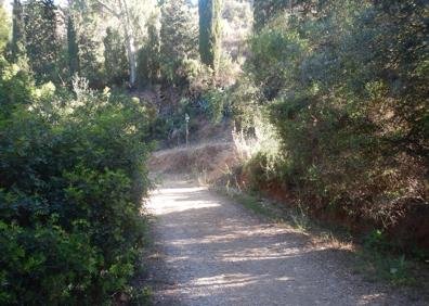 Imagen secundaria 1 - Arriba, cartel y señal que indican el camino a seguir. Abajo, sendero que conecta con el carril que baja hasta la playa del Cañuelo y a la derecha, vista panorámica de la playa del Cañuelo y la Torre del Pino.