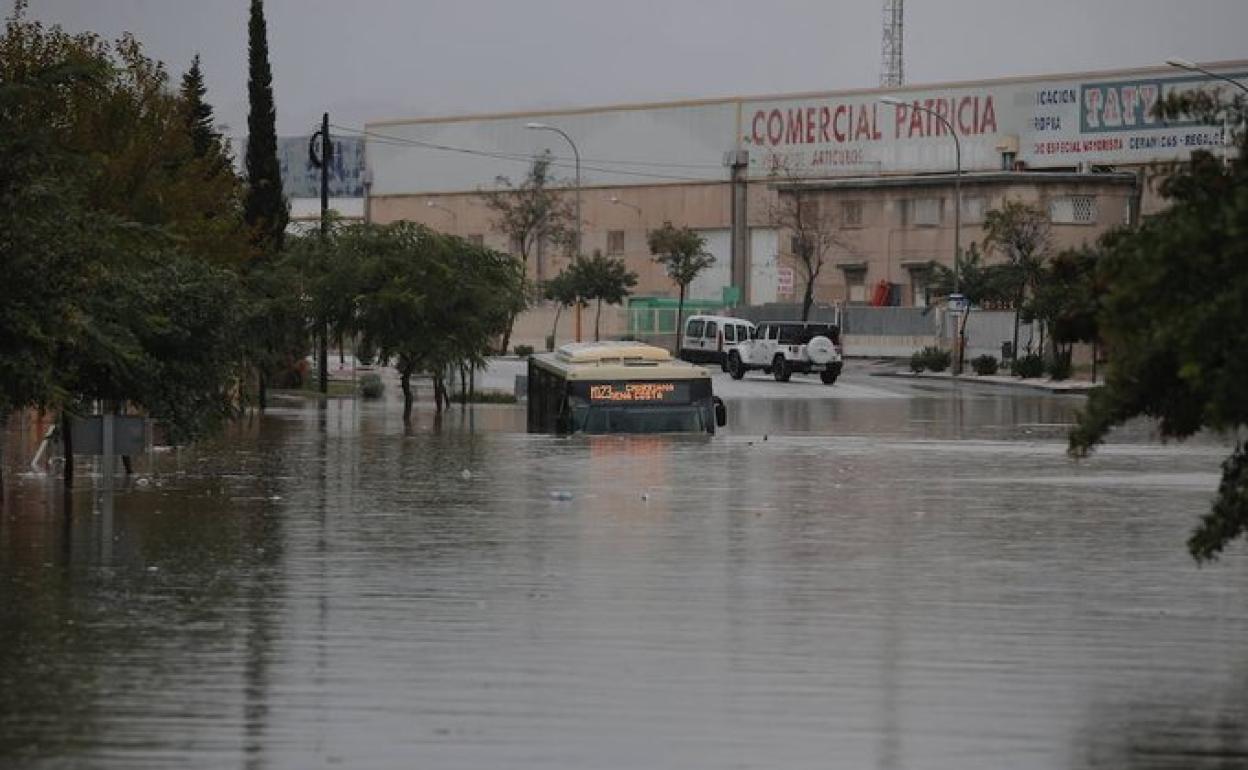 La junta invertirá 8,9 millones para rebajar la inundabilidad en los polígonos del guadalhorce | diario sur