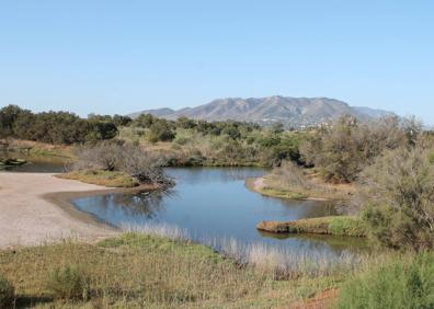 Imagen secundaria 1 - Observatorio de la Laguna de la Casilla. Abajo, vista desde el observatorio del Río Viejo. Al final del sendero del Río Viejo, se llega hasta el observatorio del Espigón de Levante. 