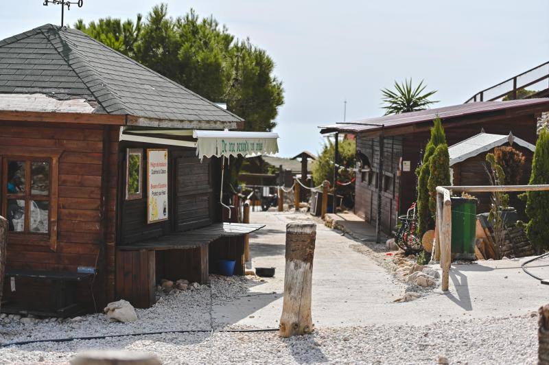 Este refugio acoge a casi 160 ejemplares de todo el mundo. 