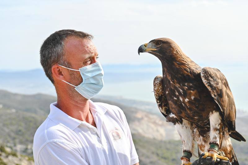 Este refugio acoge a casi 160 ejemplares de todo el mundo. 