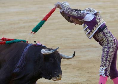 Imagen secundaria 1 - El Fandi naufraga ante la calidad de un &#039;Virrey&#039; de vuelta