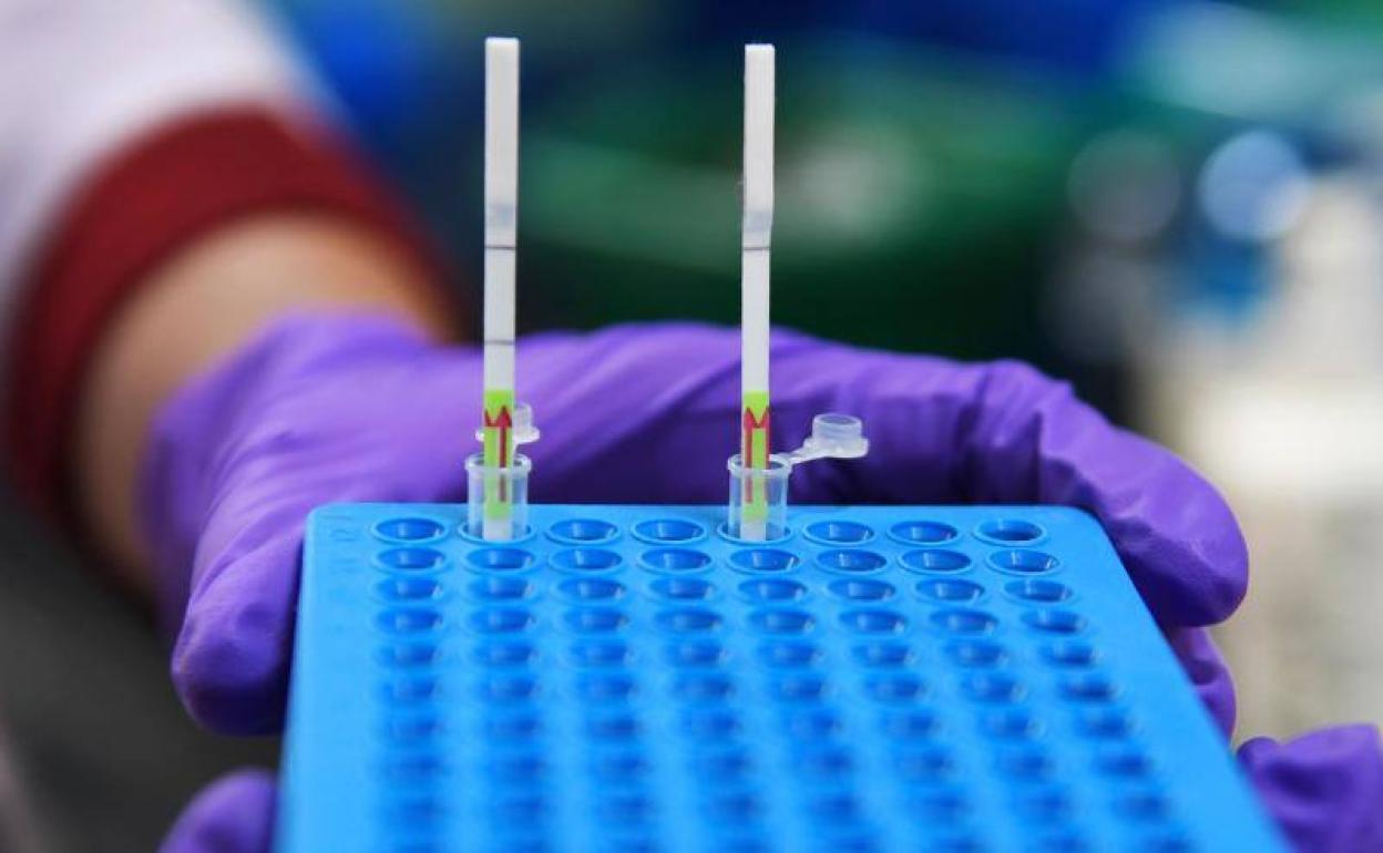 Andalucía suma 1.997 casos de coronavirus, nuevo récord por cuarto día consecutivo