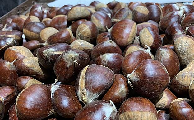 Castañas del puesto de Avenida Plutarco. 
