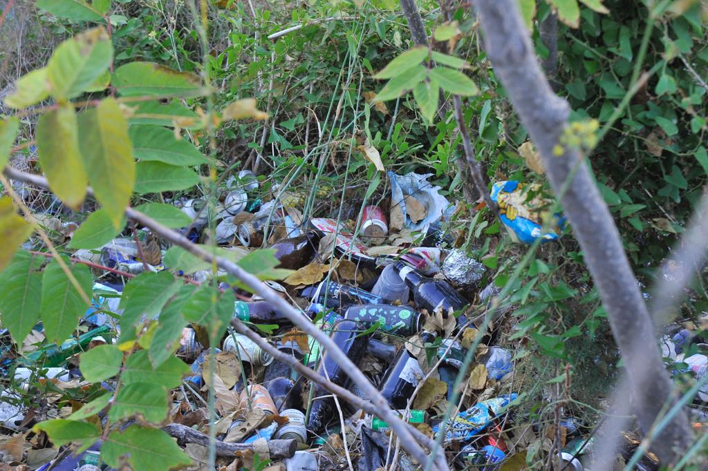 SUR comprueba que la basura se acumula en esta emblemática zona de la capital.