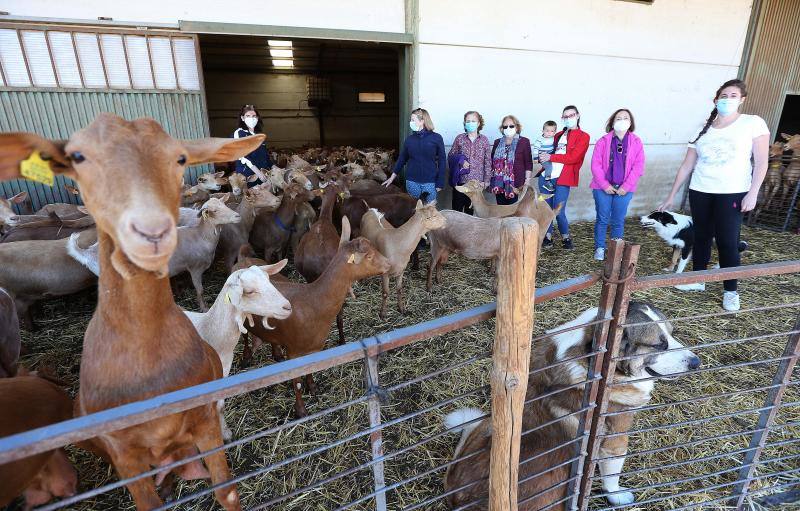 Algunas de las mujeres rurales de Málaga que participaron en el reportaje 