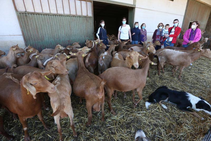 Algunas de las mujeres rurales de Málaga que participaron en el reportaje 