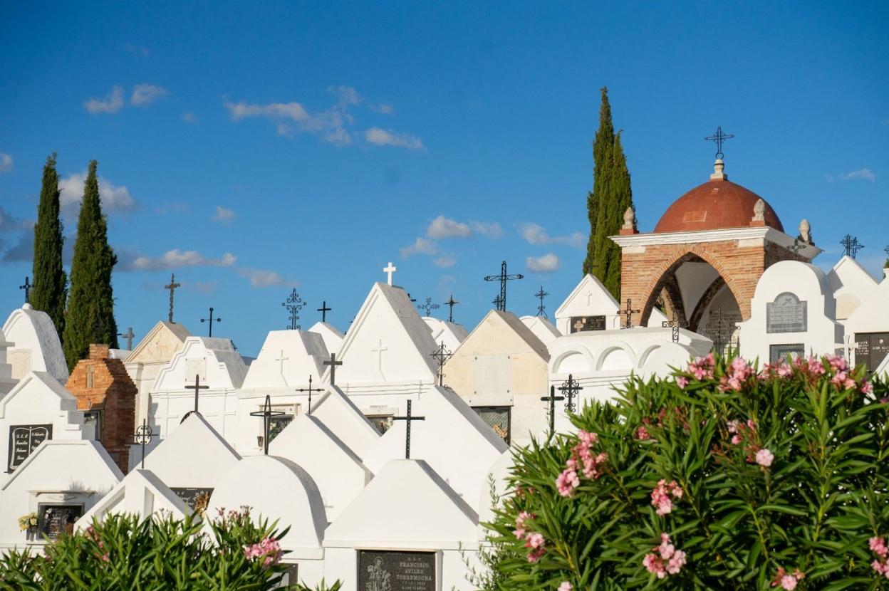 Ruta gastronómica en un 'Halloween' rural y alternativo sin salir de la provincia de Málaga