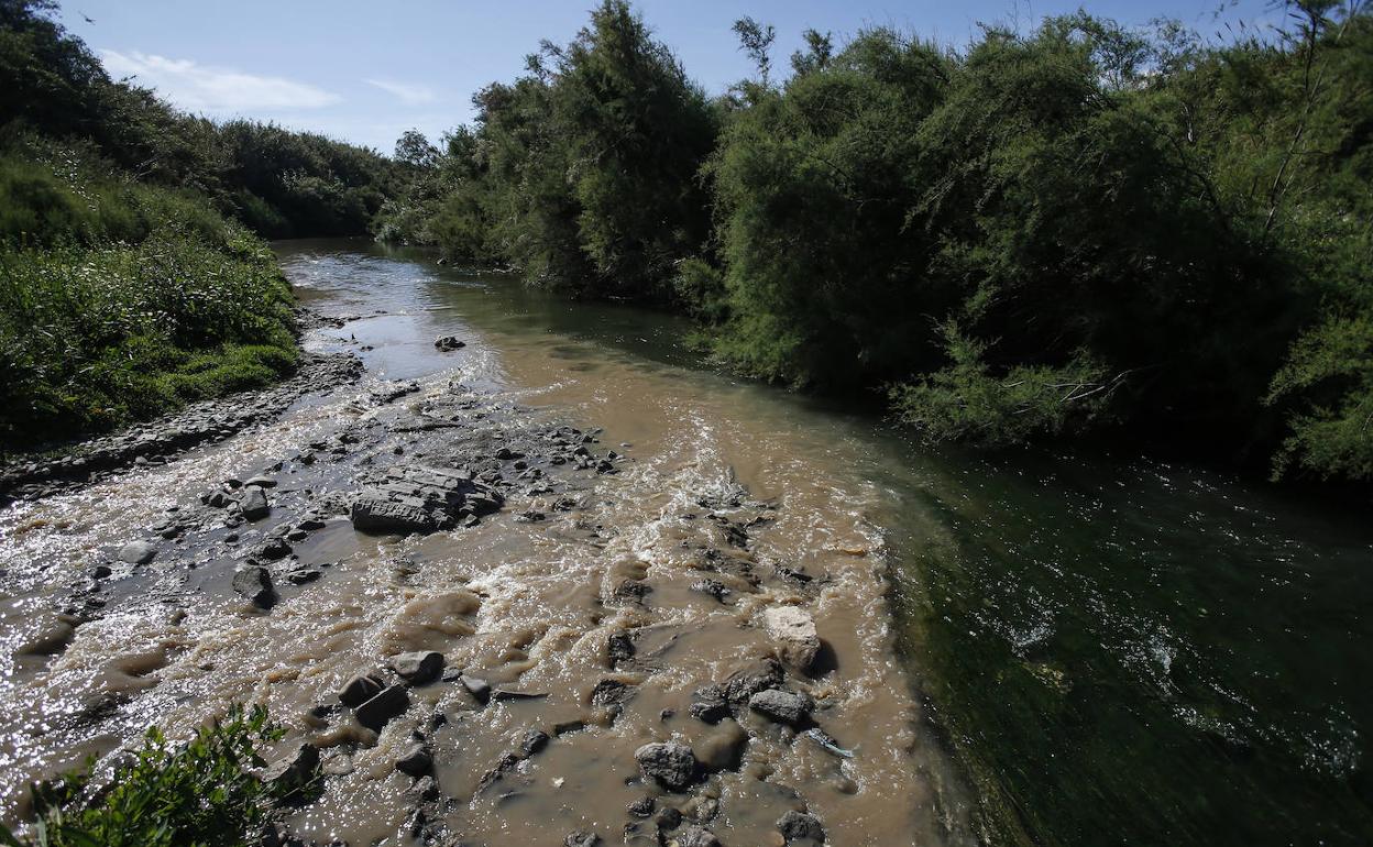 La mezcla de aguas residuales es evidente en algunos tramos del río Guadalhorce a su paso por Cártama. 