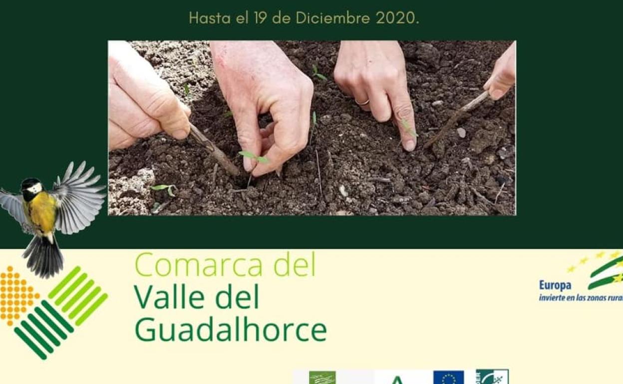 Imagen promocional de las ayudas.