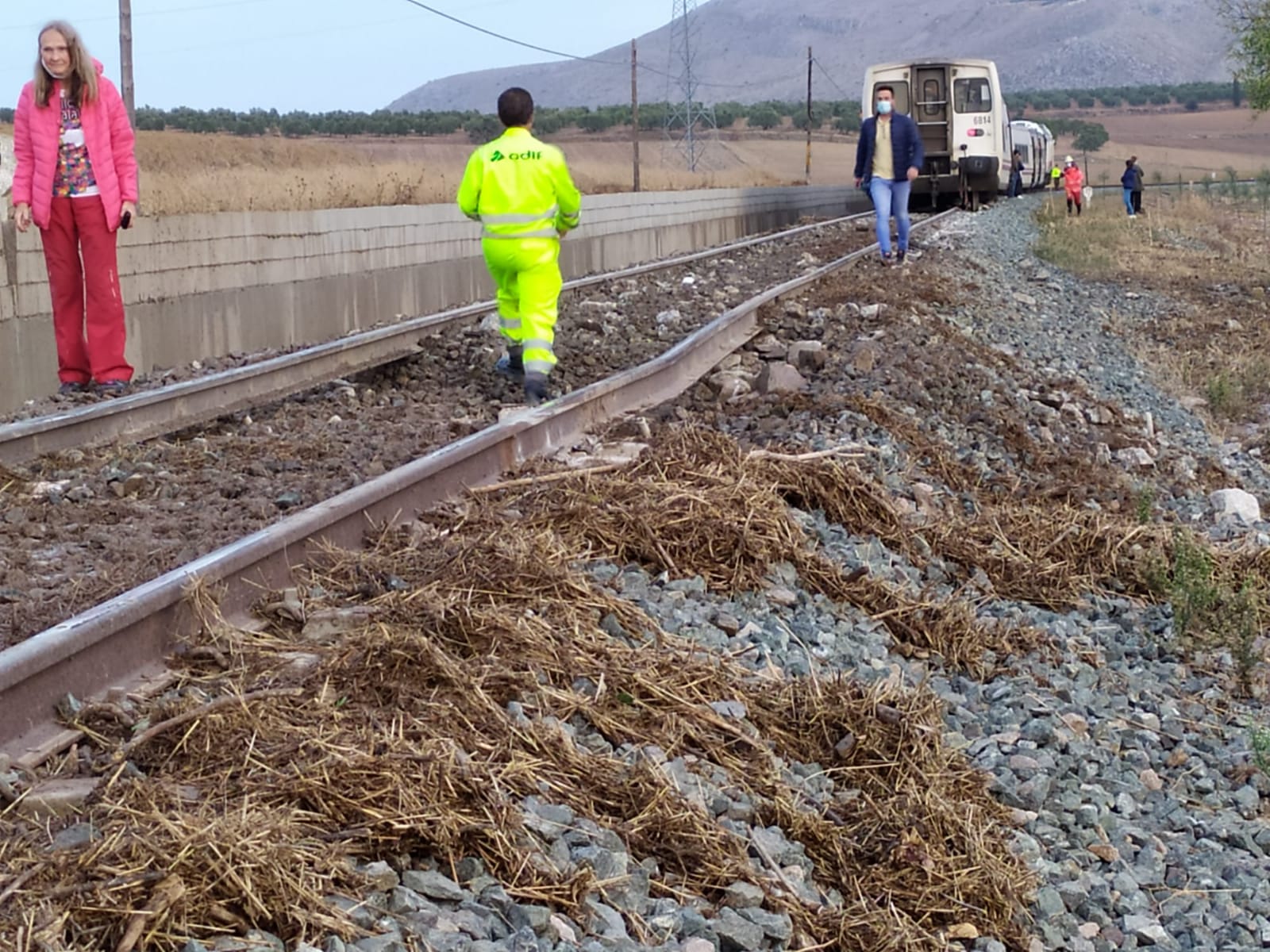 Fotos: Una riada provoca el descarrilamiento de un tren entre Almargen y Campillos
