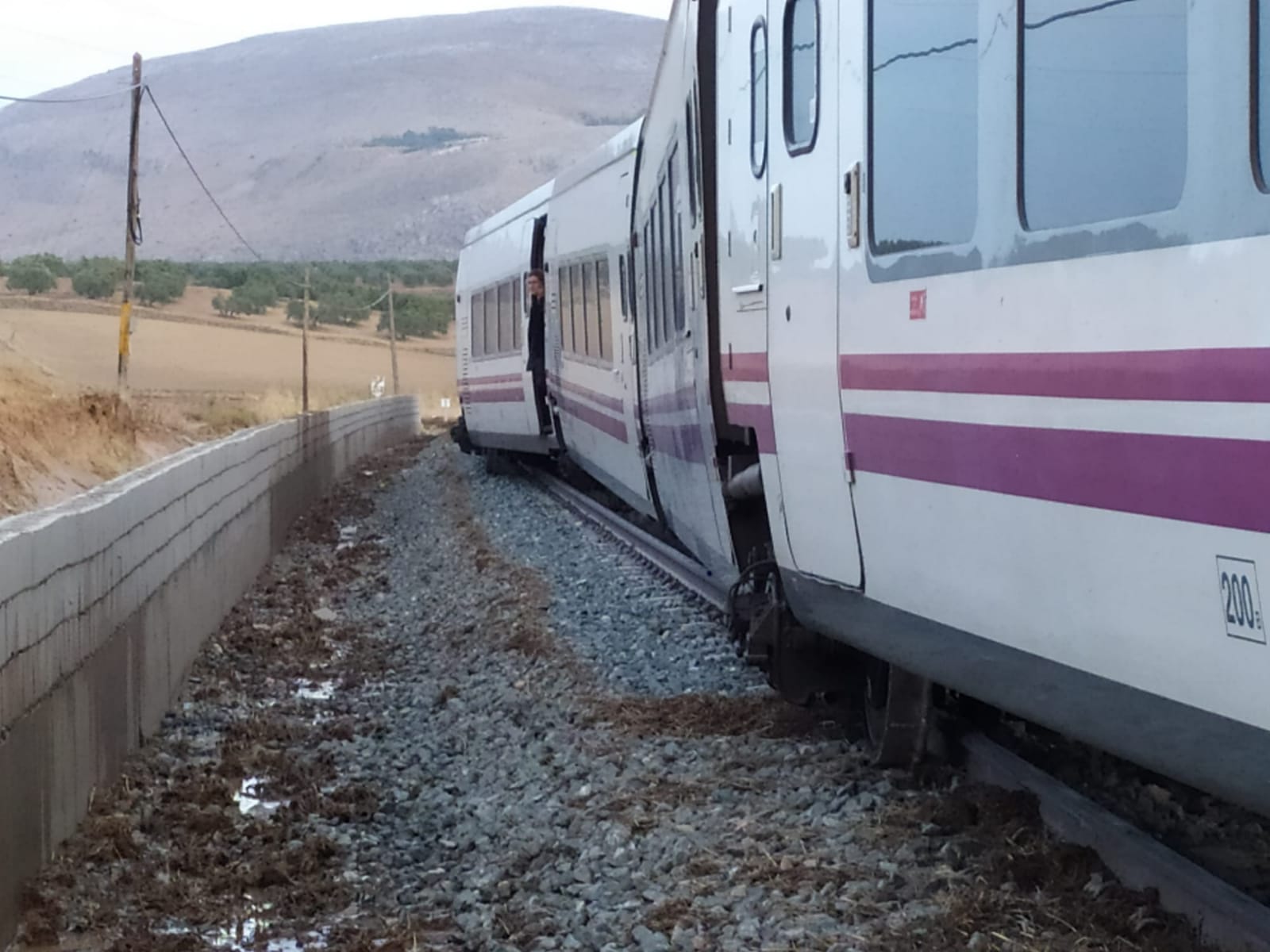 Fotos: Una riada provoca el descarrilamiento de un tren entre Almargen y Campillos