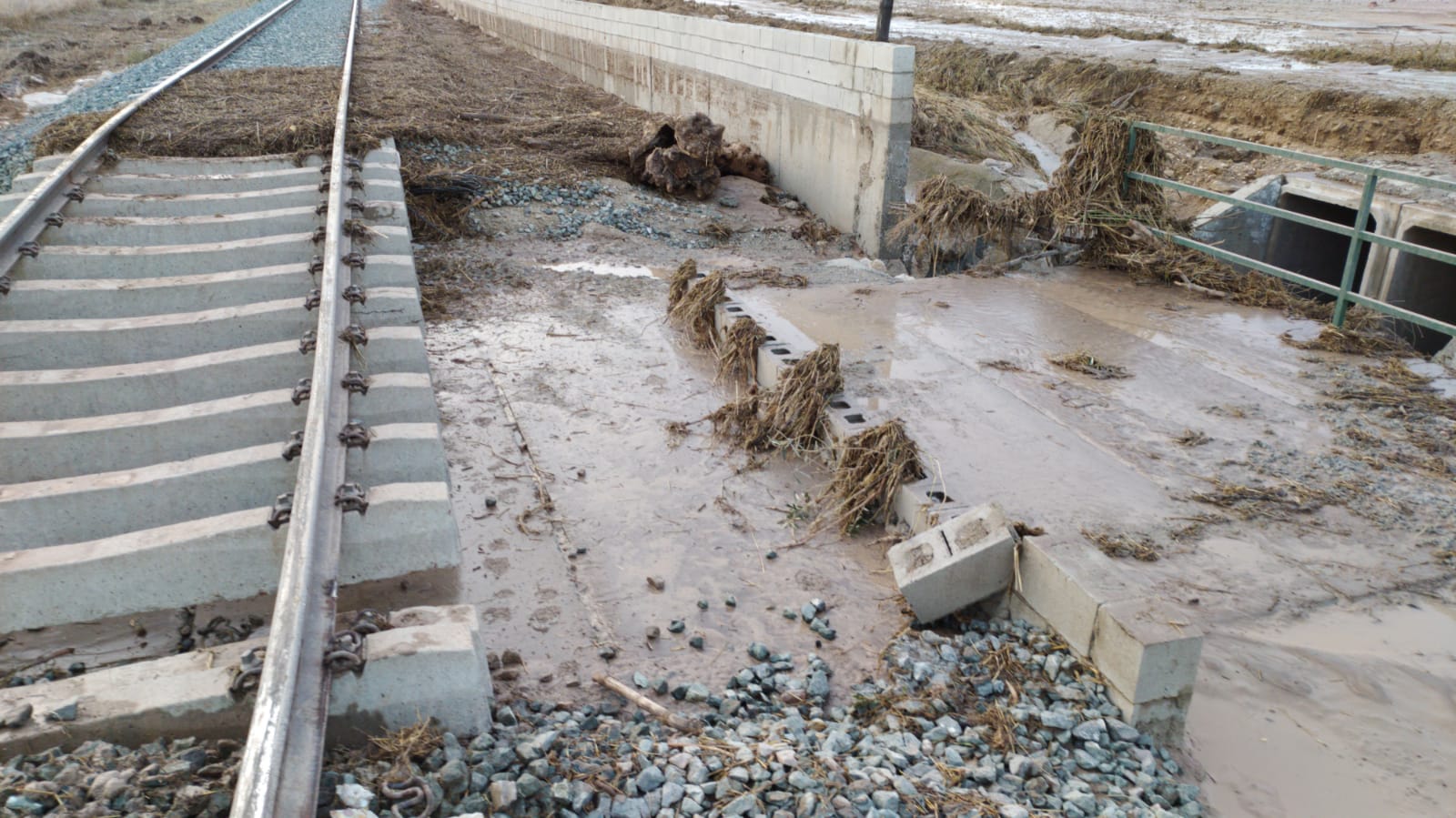 Fotos: Una riada provoca el descarrilamiento de un tren entre Almargen y Campillos