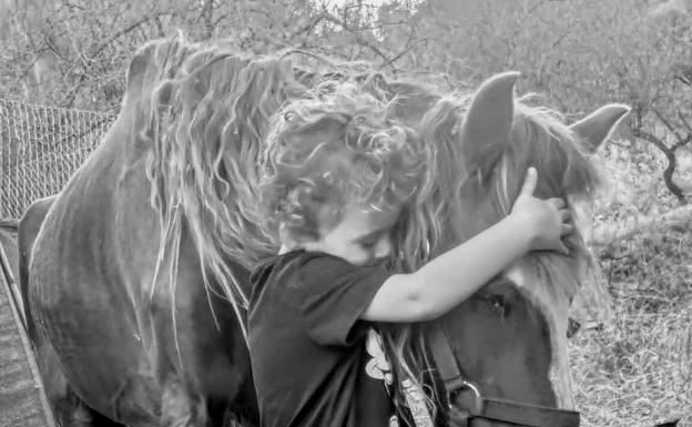 Imagen principal - Arriba, Ulises, un niño de tres años de Rincón de la Victoria que ayudó al rescate de un caballo; abajo a la izquierda, un burro recuperado en Torrox, y a la derecha, un caballo con desnutrición rescatado en Vélez-Málaga. 