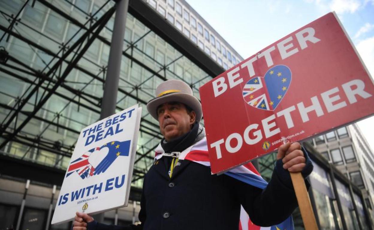 Un manifestante pro-UE en Westminster (Londres) 