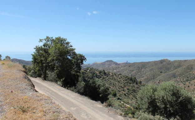 Carril de tierra por el que se llega a Olías