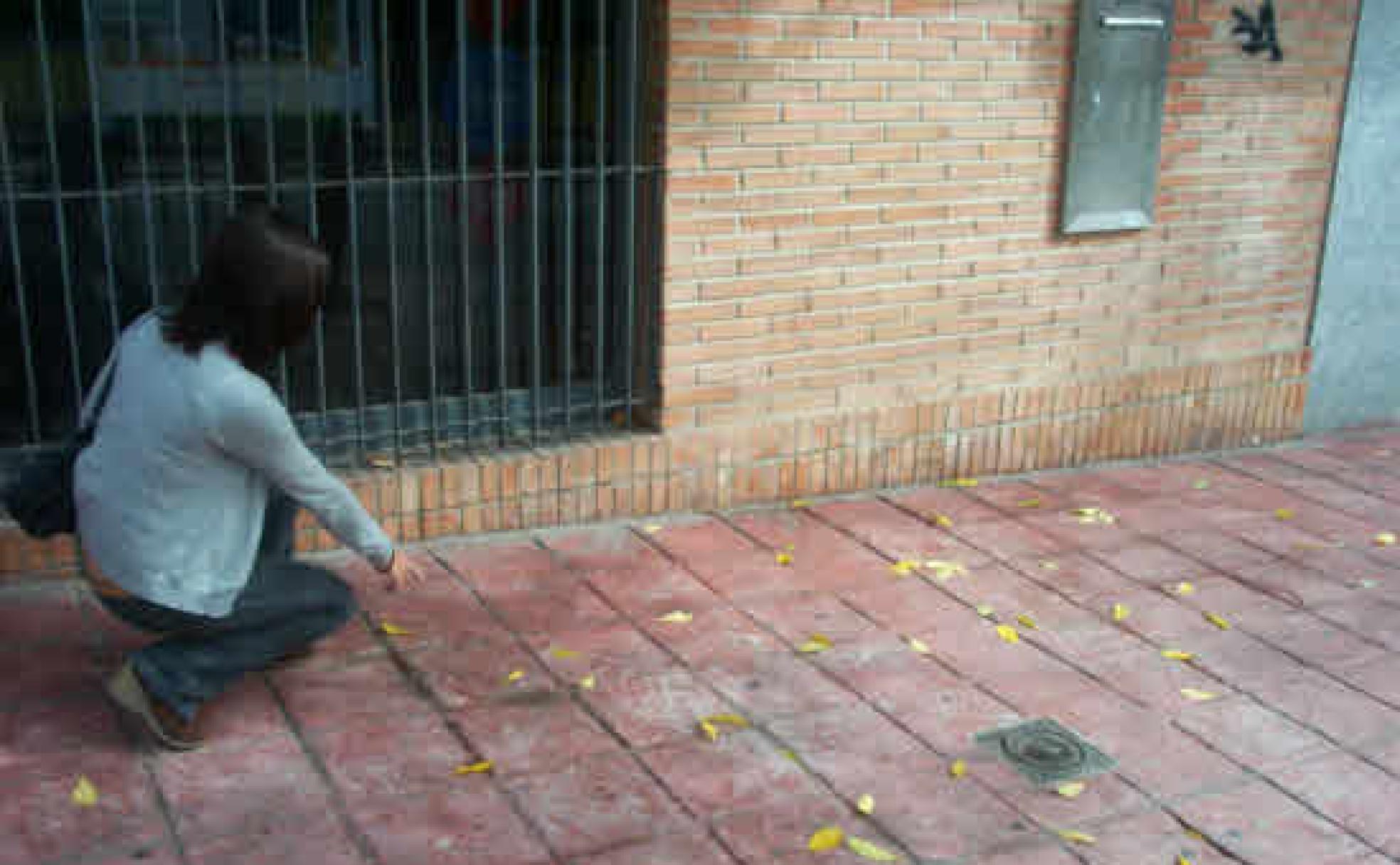 Imagen del lugar del apuñalamiento publicada en SUR tras la muerte de José Pedro. 