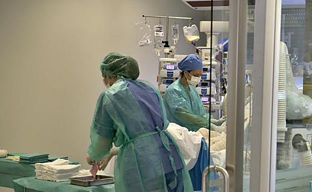 Andalucía registra 3.424 nuevos casos de Covid-19 y 50 fallecidos en 24 horas