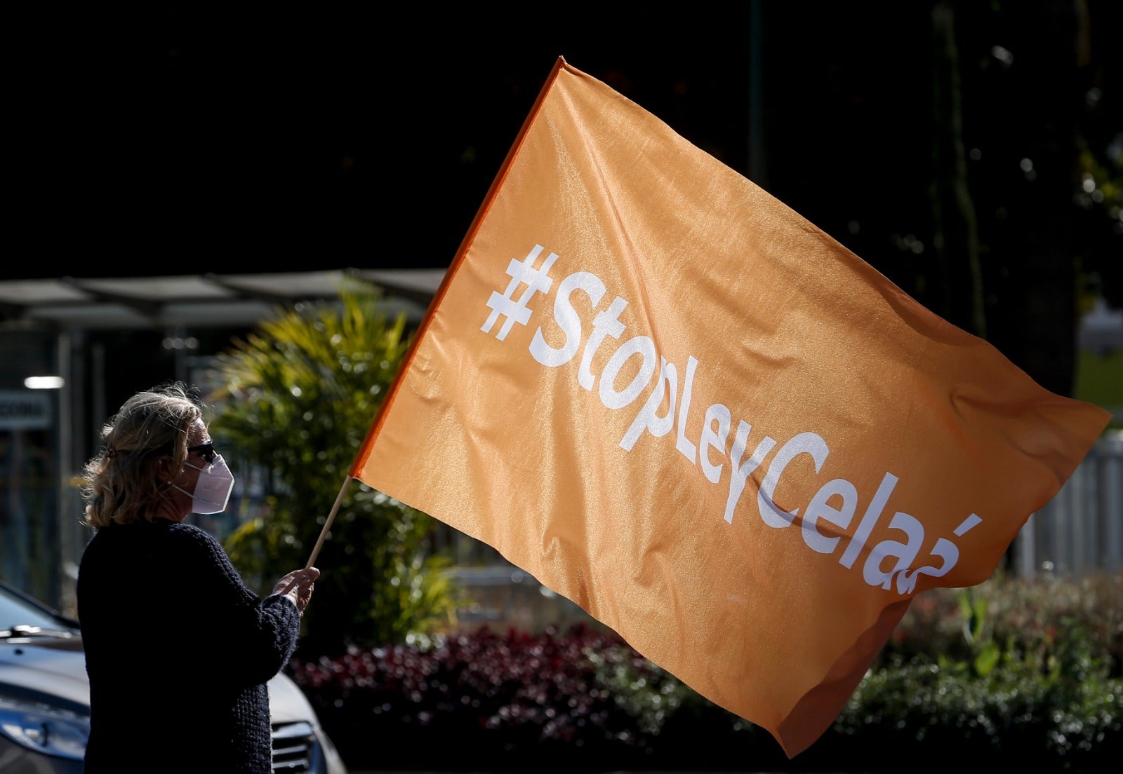 Convocada por la plataforma Más libres, Más plurales, Más iguales -reúne a centros privados y privados concertados- profesores, padres y ciudadanos se han montado en sus vehículos para denunciar esta nueva ley educativa.