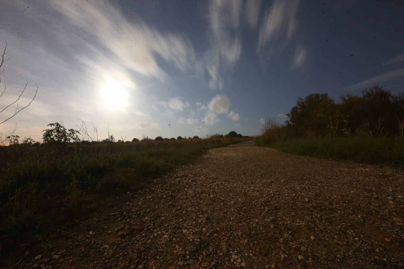 El última eclipse lunar del año convierte al paraje natural en el escenario de un embriagador juego de luces. En ningún otro punto de Europa se pueden ver tantas especies de aves en un espacio tan reducido