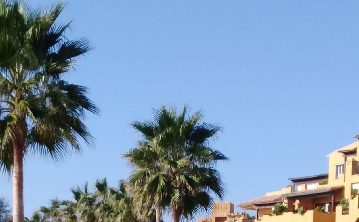 Momento en el que la narcolancha era retirada de la playa de Punta de la Plata, en Estepona.