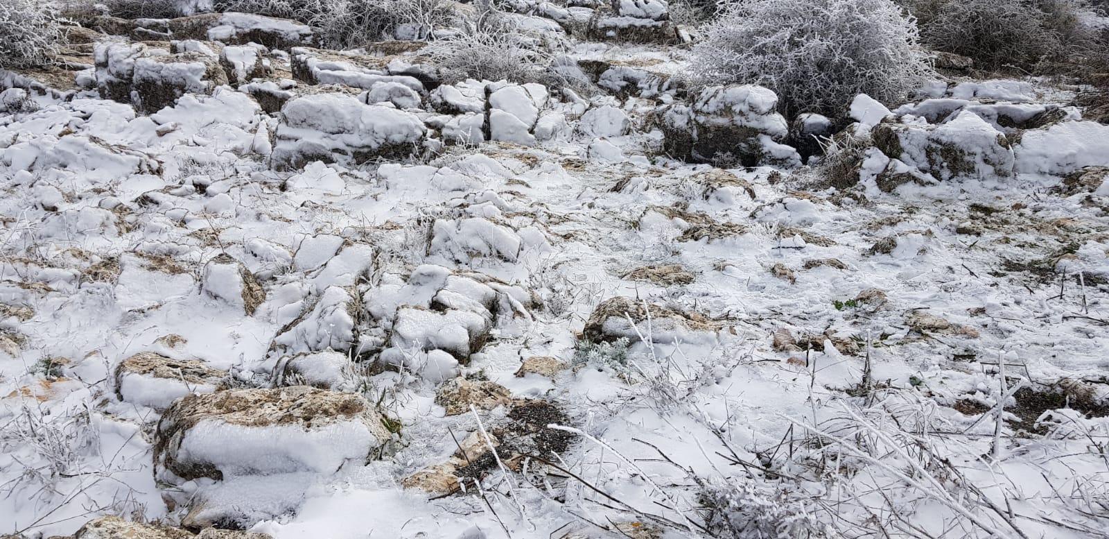Imagen de El Torcal de Antequera, este sábado. 