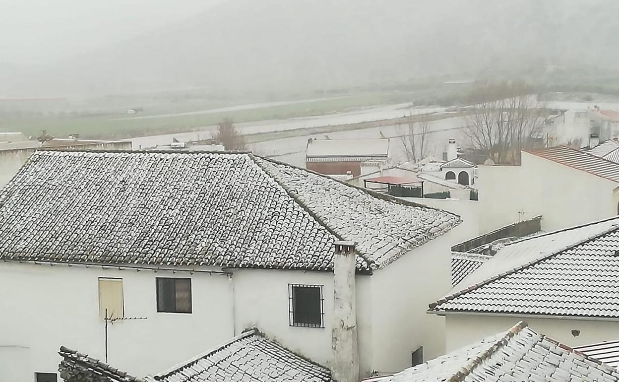 Imagen de la nieve en los tejados en el municipio de Alfarnate, este sábado.