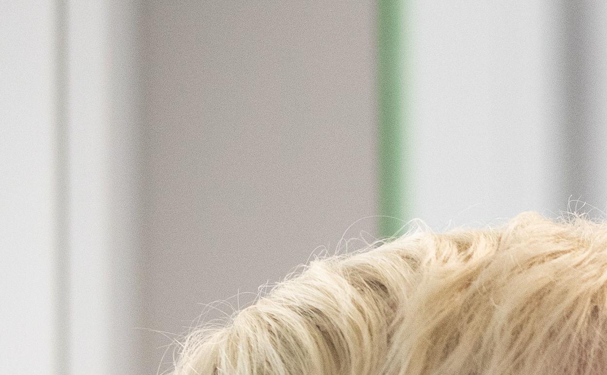 Un sanitario realiza una prueba de coronavirus. 