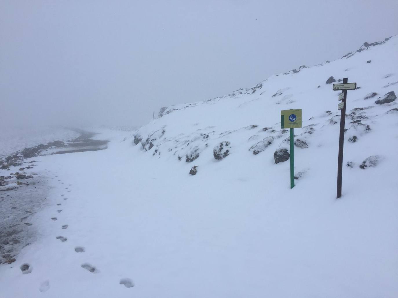 Sierra de las Nieves, este jueves.