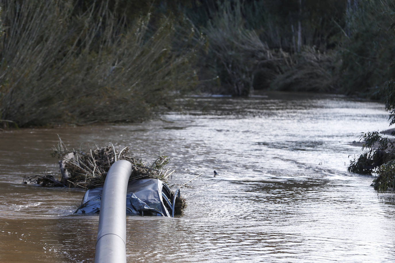 Rescate de los cuerpos de las víctimas de 'Filomena' en el río Fuengirola esta mañana.