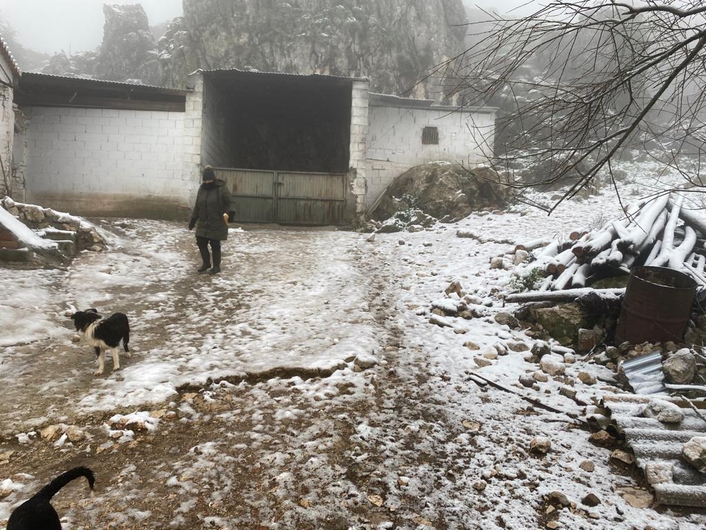 Nieve en Alfarnate.