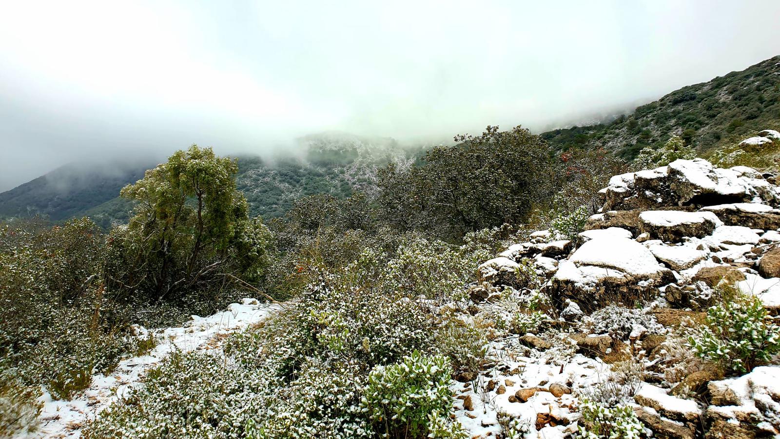 Nieve en Alhaurín el Grande