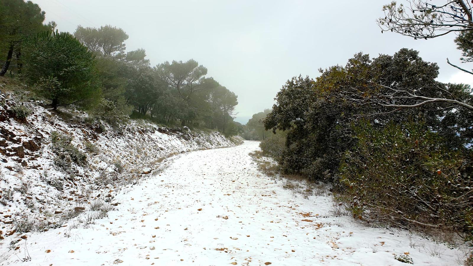 Nieve en Alhaurín el Grande