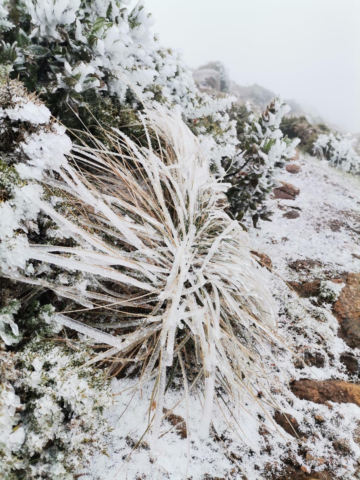 Nevada en Sierra Bermeja, en Estepona.