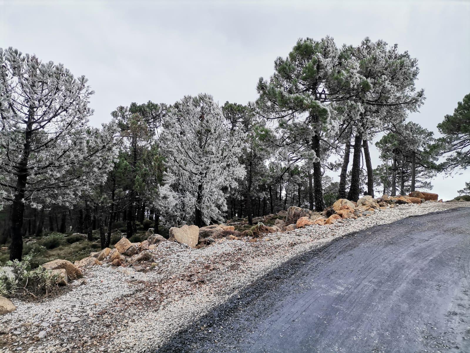 Nevada en Sierra Bermeja, en Estepona.