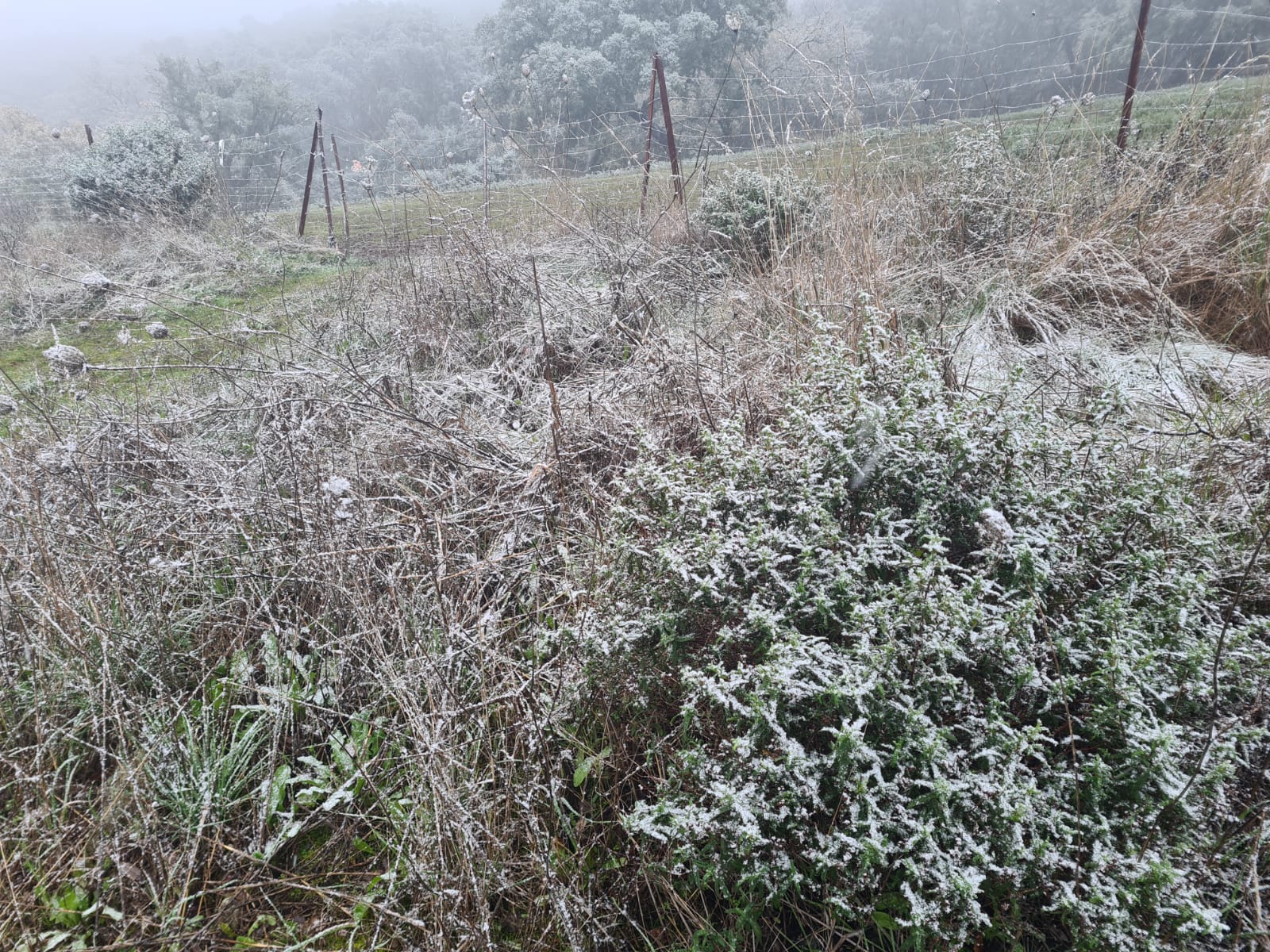Nieve en el Torcal de Antequera este domingo